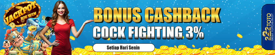 222TOTO cashback sabung ayam